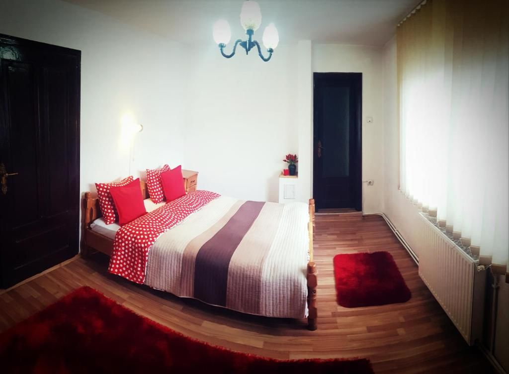 Гостевой дом Pension Casa Aurora Вама-56